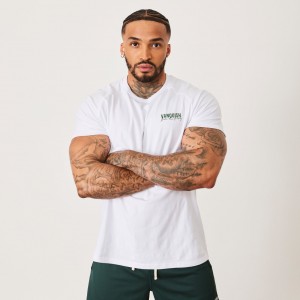 Vanquish Fitness BTY White Slim Fit Raglan T Shirt Vita | 0963-BEDKH