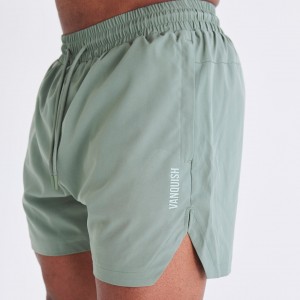 Vanquish Fitness Essential Green Performance 4" Shorts Gröna | 8231-MACYQ