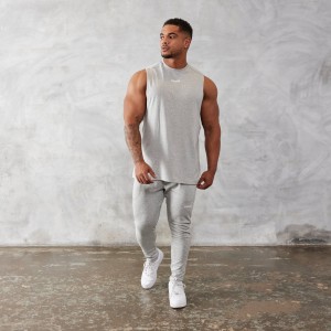 Vanquish Fitness Essential Grey Oversized Ärmlös T Shirt Ljusgrå | 4639-VUJHK