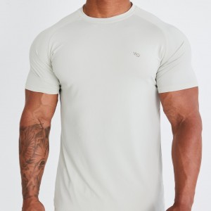 Vanquish Fitness Essential Stone Performance Korta Sleeve T Shirt Stone | 2097-TGPXE