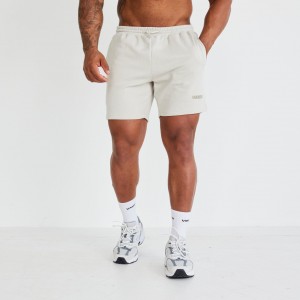 Vanquish Fitness Essential Stone Regular Fit Shorts Stone | 0462-EMVYO