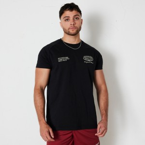 Vanquish Fitness TSP Black Worldwide Fitted T Shirt Svarta | 6039-WAINJ