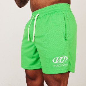 Vanquish Fitness TSP Neon Green Racing Mesh Shorts Gröna | 8279-YTCXE