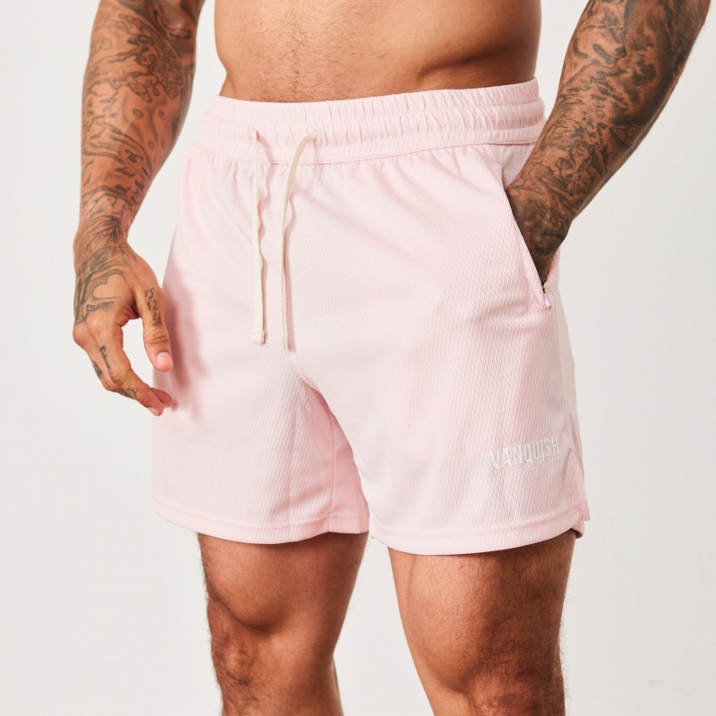 Vanquish Fitness BTY Himalayan Pink Mesh Shorts Rosa | 7620-KXWVM