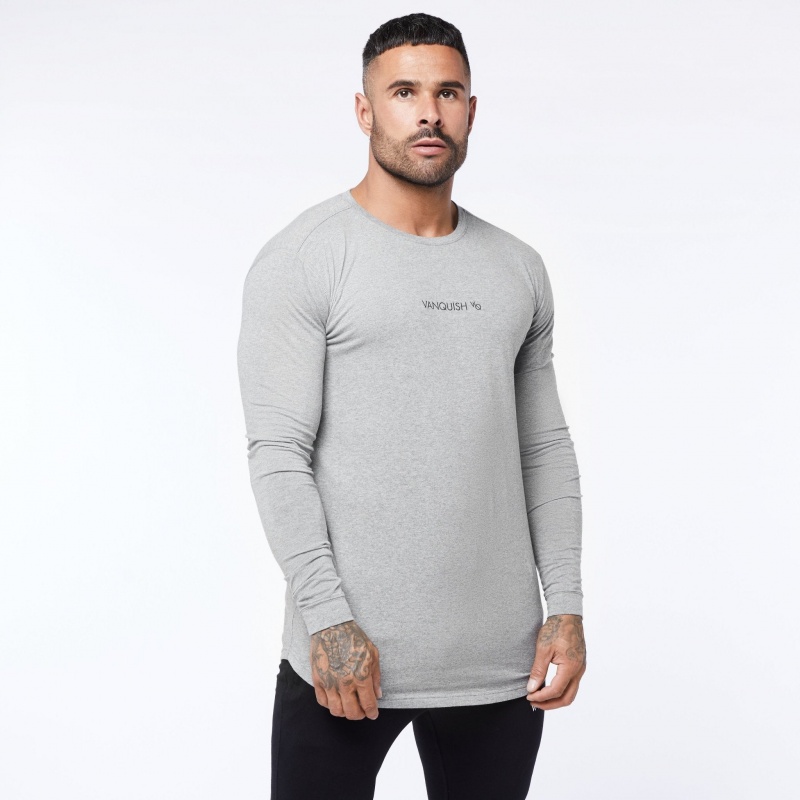 Vanquish Fitness Core Grey Long Sleeved T Shirt Grå | 2649-DMKWP