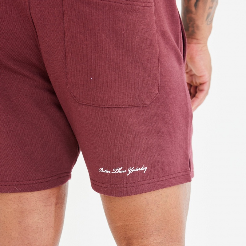 Vanquish Fitness Dark Burgundy Varsity Shorts Mörkvinröda | 8304-AUKBD