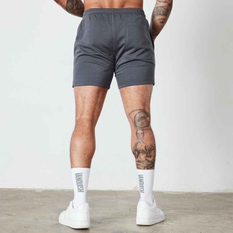 Vanquish Fitness Essential Denim Blue Regular Fit Shorts Blå | 5126-DWXIS