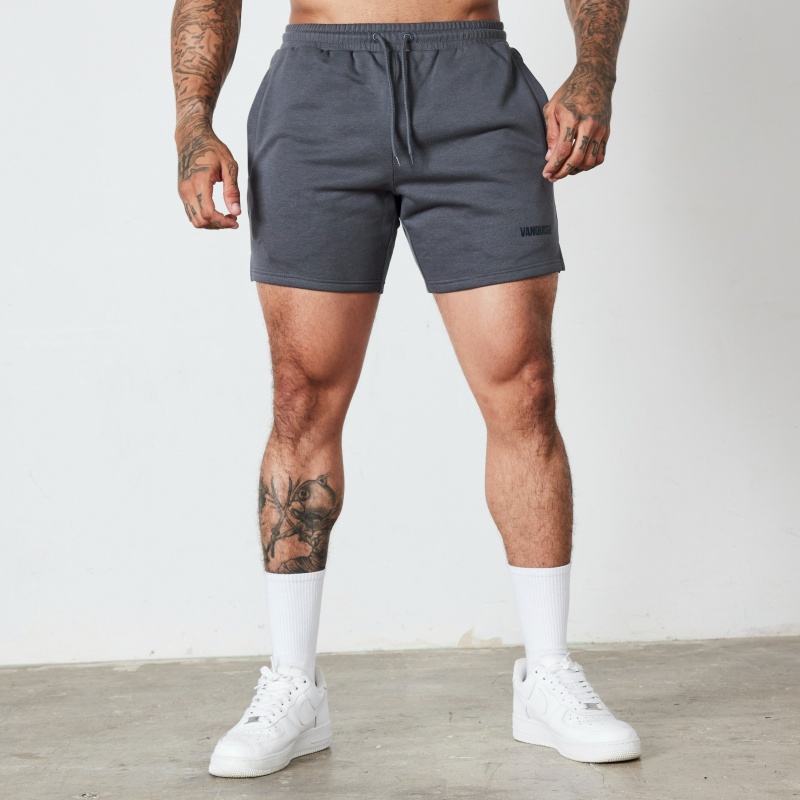 Vanquish Fitness Essential Denim Blue Regular Fit Shorts Blå | 5126-DWXIS