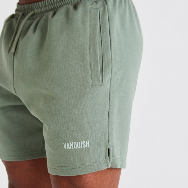 Vanquish Fitness Essential Green Regular Fit Shorts Gröna | 9372-RUMOE