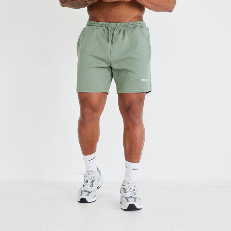 Vanquish Fitness Essential Green Regular Fit Shorts Gröna | 9372-RUMOE