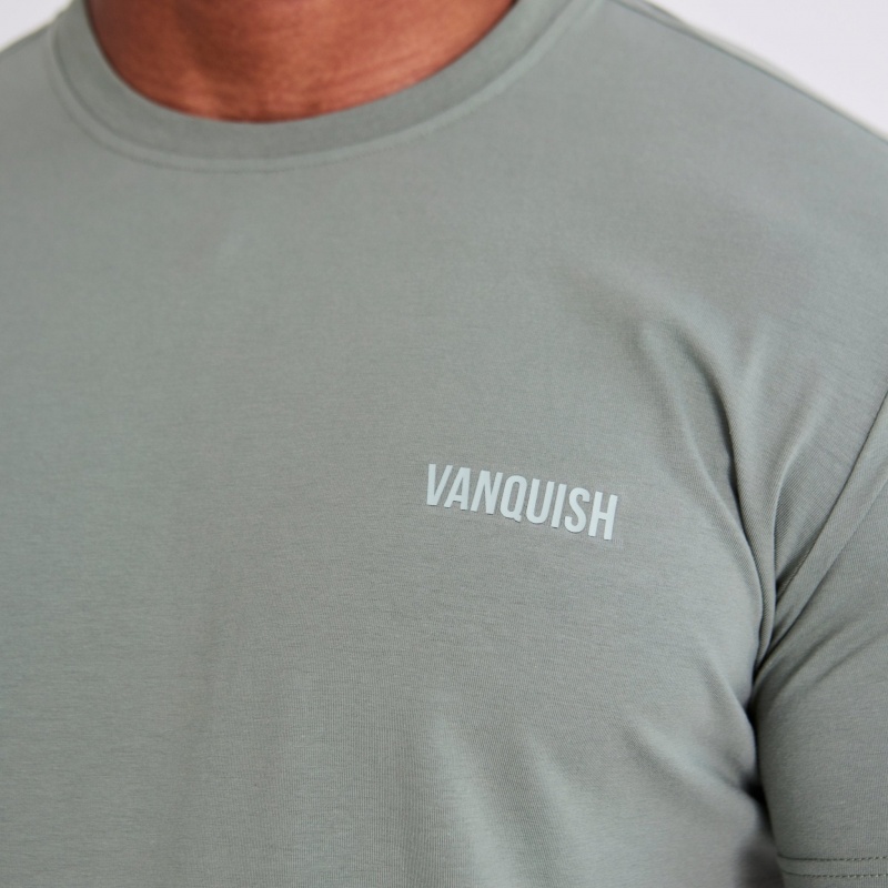 Vanquish Fitness Essential Green Slim Fit Korta Sleeve T Shirt Gröna | 7601-FLKWG