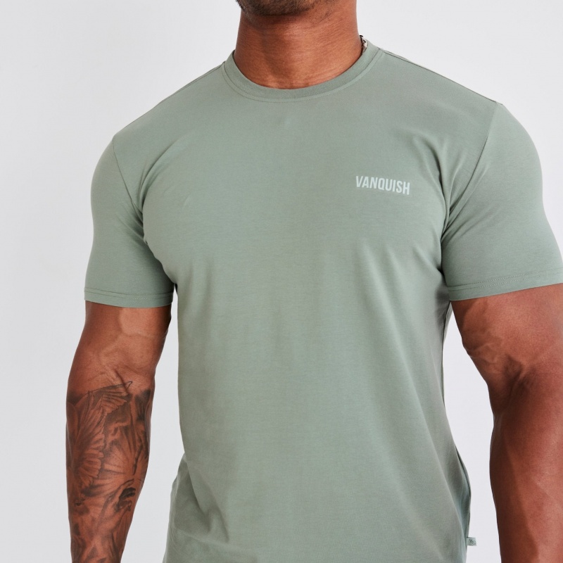 Vanquish Fitness Essential Green Slim Fit Korta Sleeve T Shirt Gröna | 7601-FLKWG