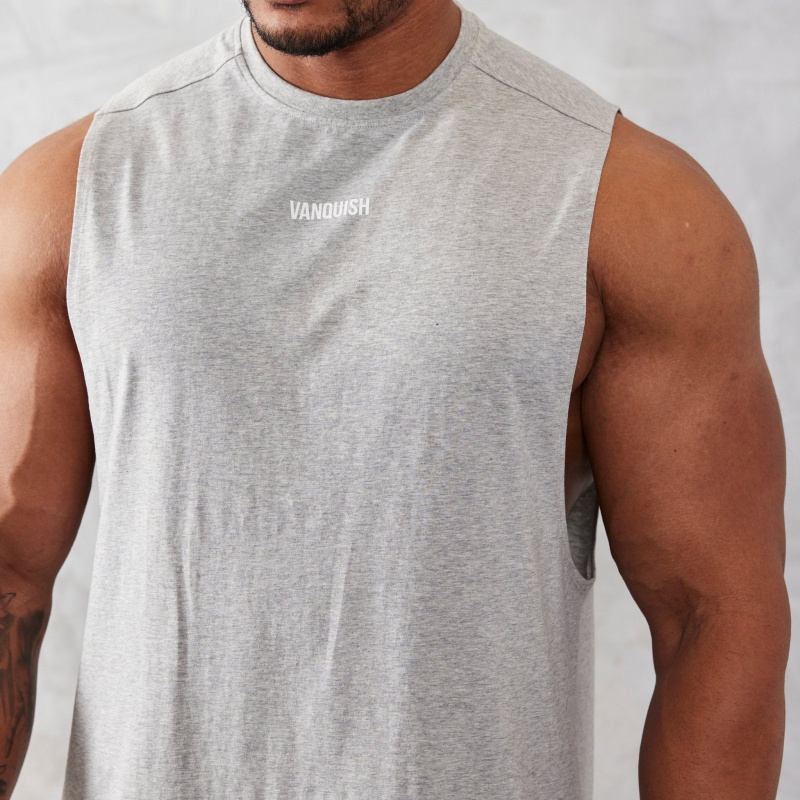 Vanquish Fitness Essential Grey Oversized Ärmlös T Shirt Ljusgrå | 4639-VUJHK