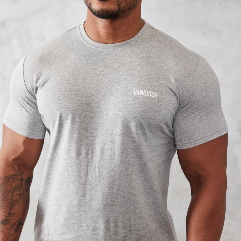 Vanquish Fitness Essential Grey Slim Fit Korta Sleeve T Shirt Ljusgrå | 0713-KLSRD