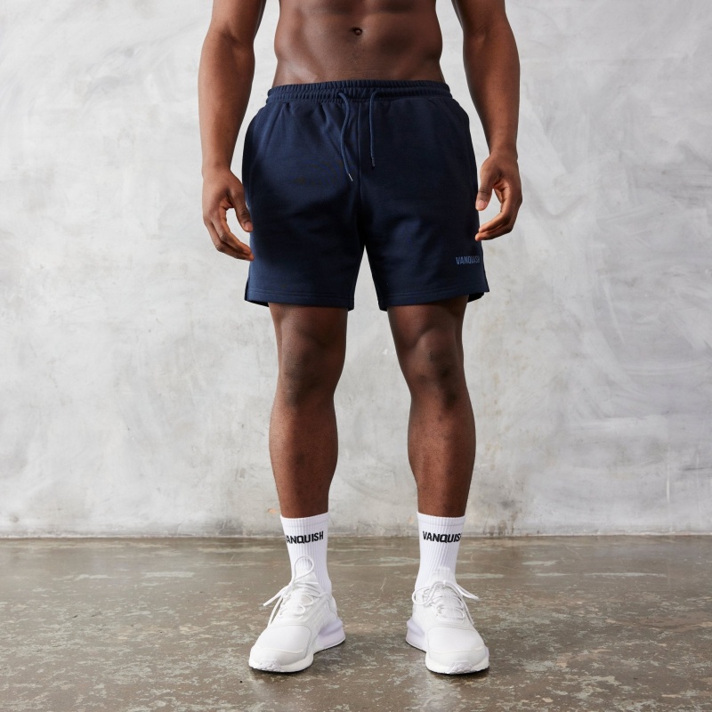 Vanquish Fitness Essential Navy Blue Regular Fit Shorts Marinblå Blå | 8415-ZBPUW