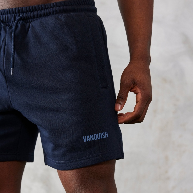 Vanquish Fitness Essential Navy Blue Regular Fit Shorts Marinblå Blå | 8415-ZBPUW