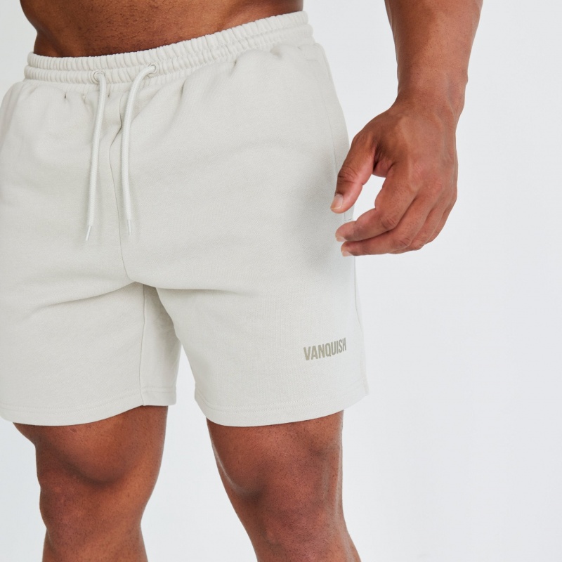 Vanquish Fitness Essential Stone Regular Fit Shorts Stone | 0462-EMVYO