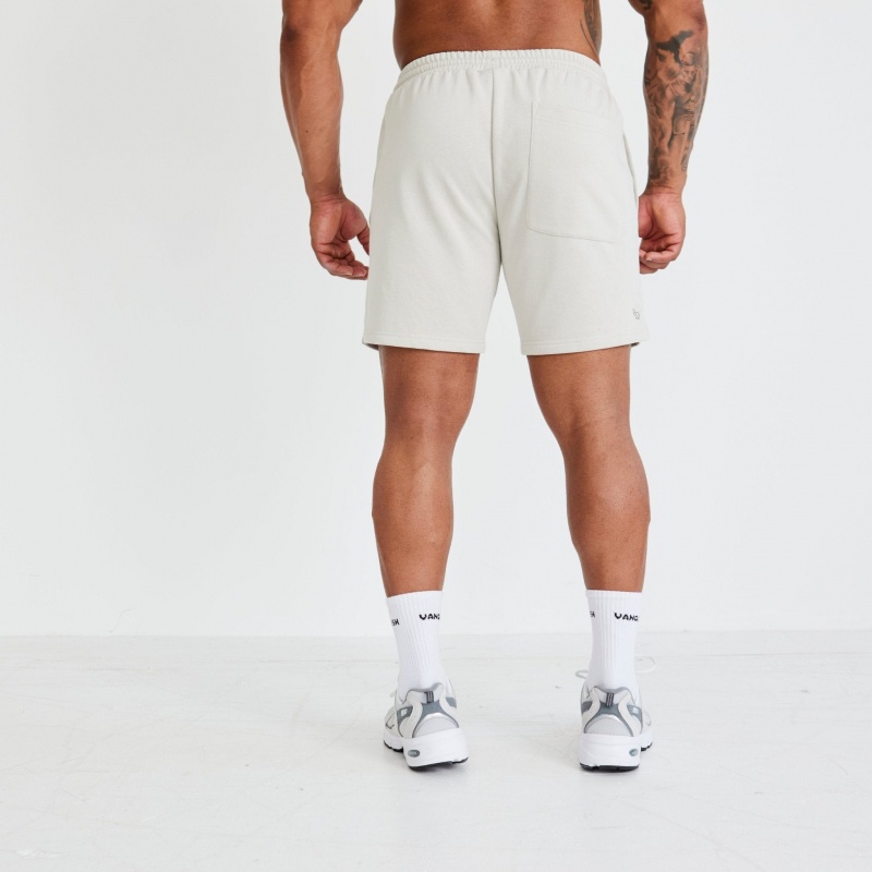 Vanquish Fitness Essential Stone Regular Fit Shorts Stone | 0462-EMVYO