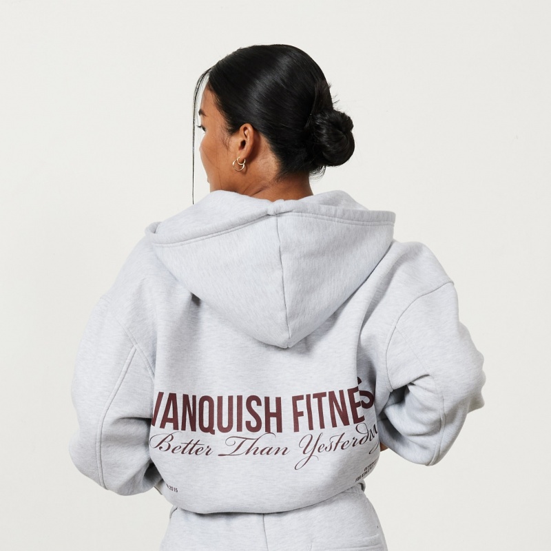 Vanquish Fitness Oat Marl Rejuvenate Full Zip Oversized Hoodie Oat Marl | 1320-NTZDY