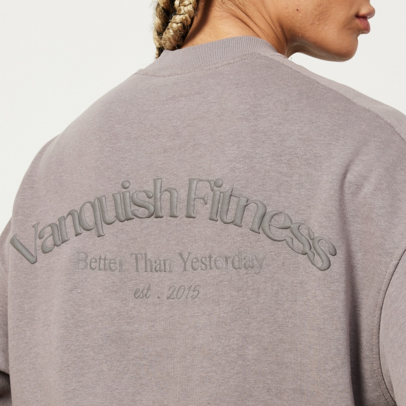 Vanquish Fitness Restore Cinder Brown Sweatshirt Bruna | 0312-EHTDL