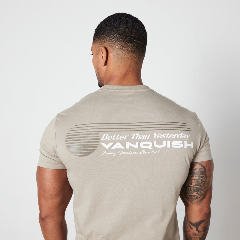 Vanquish Fitness Stone Athletics Division Fitted T Shirt Stone | 1504-JKODA