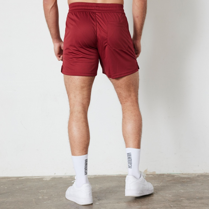 Vanquish Fitness TSP Deep Red Mesh Shorts Mörkröda | 1348-CUFPH