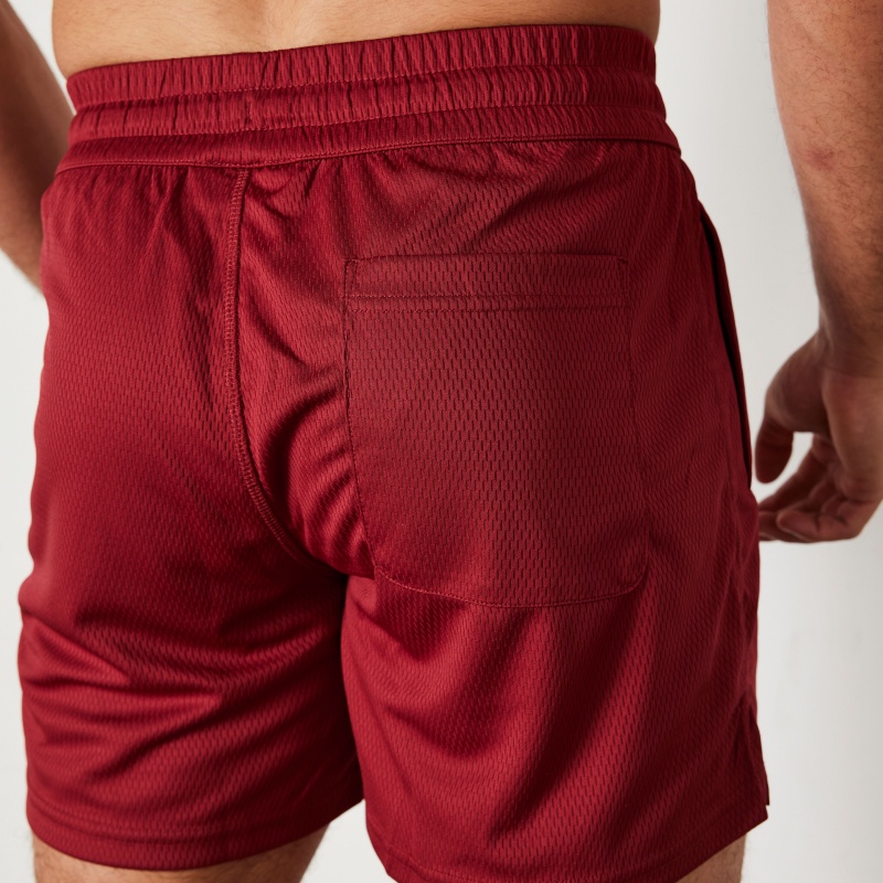 Vanquish Fitness TSP Deep Red Mesh Shorts Mörkröda | 1348-CUFPH