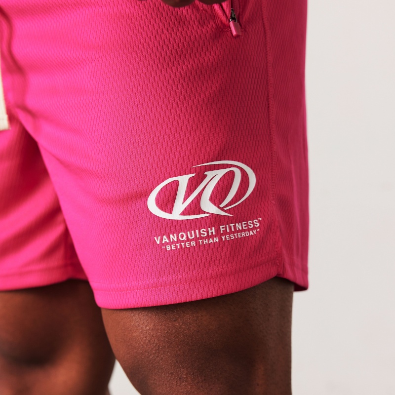 Vanquish Fitness TSP Hot Pink Racing Mesh Shorts Rosa | 5263-ESOQL