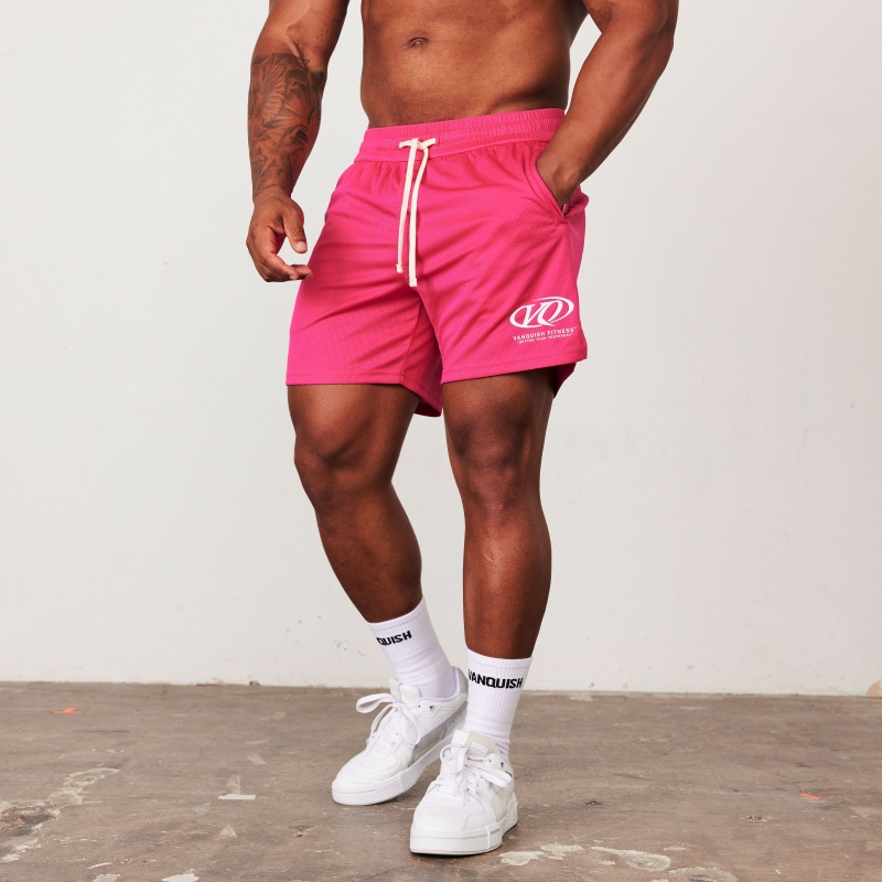 Vanquish Fitness TSP Hot Pink Racing Mesh Shorts Rosa | 5263-ESOQL