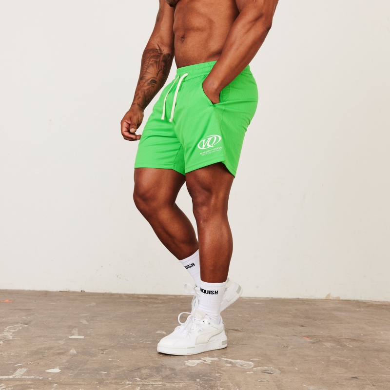 Vanquish Fitness TSP Neon Green Racing Mesh Shorts Gröna | 8279-YTCXE