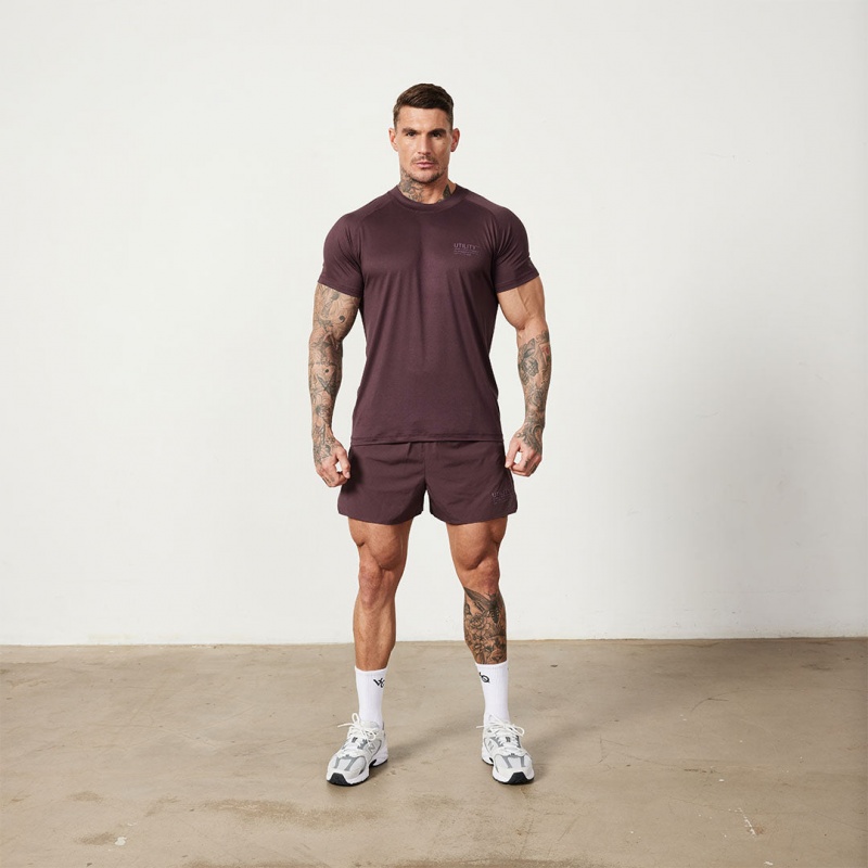 Vanquish Fitness Utility Plum T Shirt Plum | 4389-VUNEM