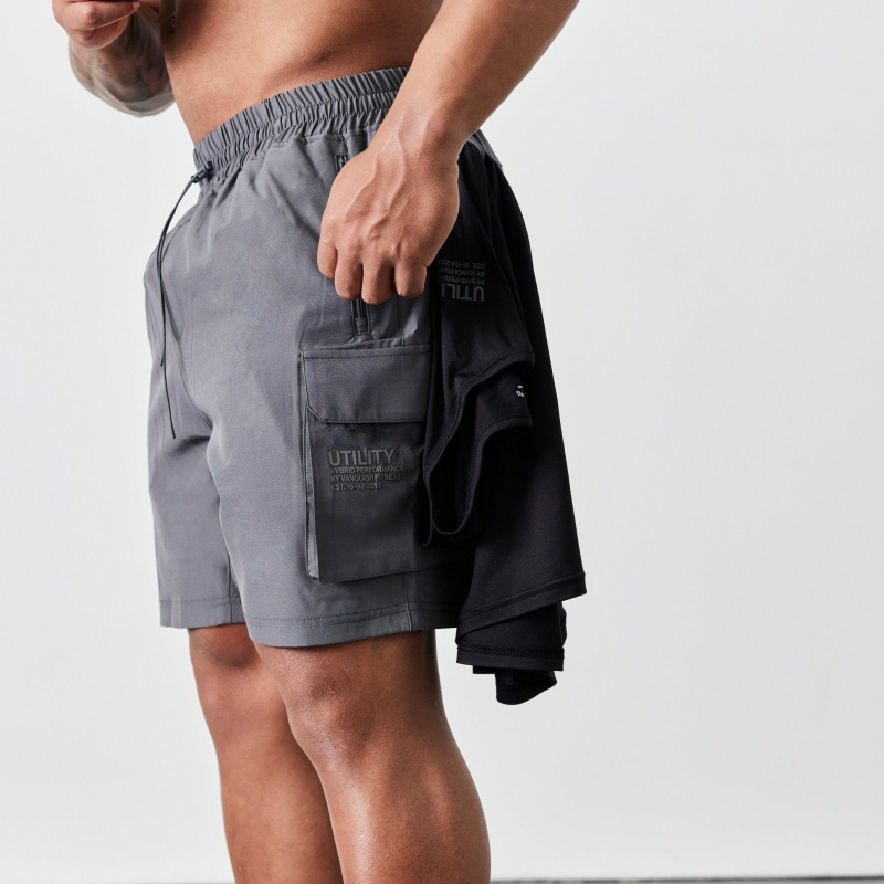 Vanquish Fitness Utility V2 Grey Cargo Shorts Grå | 4825-RHABP