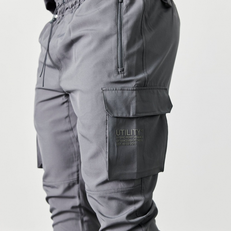 Vanquish Fitness Utility V2 Grey Tapered Cargo Pants Grå | 1490-BDLXH