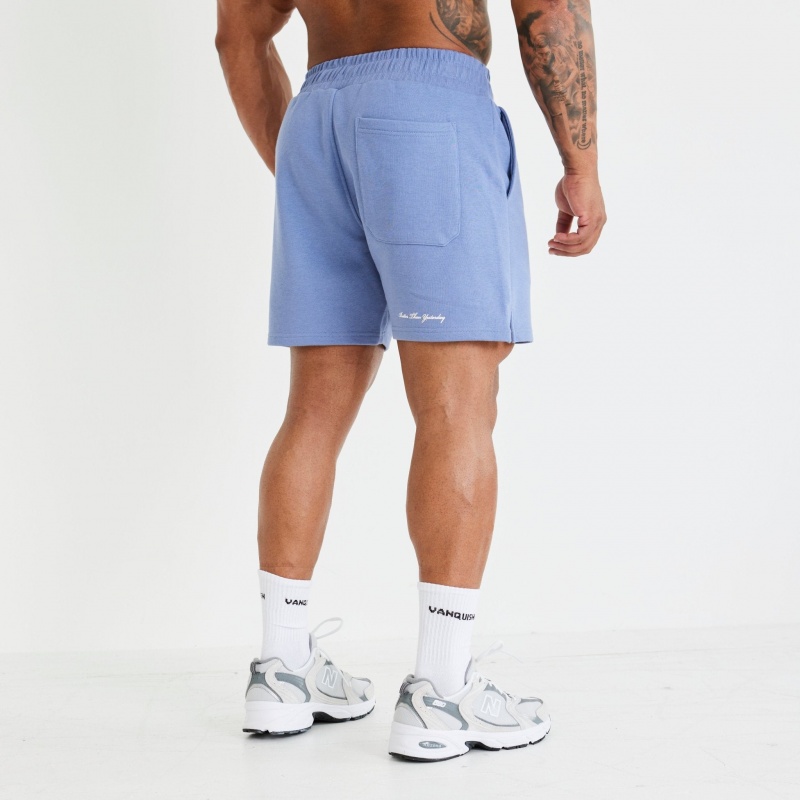 Vanquish Fitness Washed Blue Varsity Shorts Blå | 1749-QLPOT